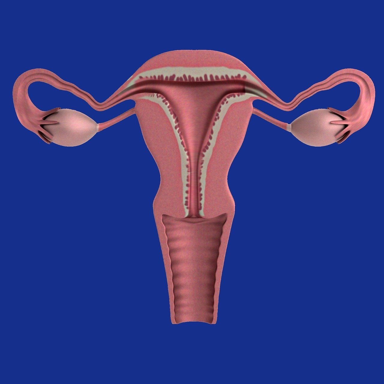 Read more about the article Endometriose e Fertilidade: Descobrindo Novos Caminhos para a Concepção