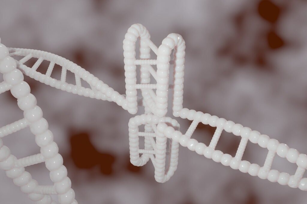 Fertilidade | Ovulação | Gravidez | Loja da Fertilidade Genetica