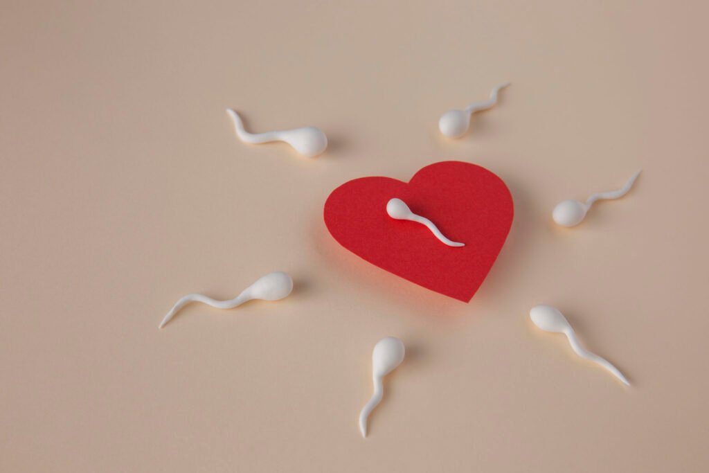 Fertilidade | Ovulação | Gravidez | Loja da Fertilidade ovulo fecundado