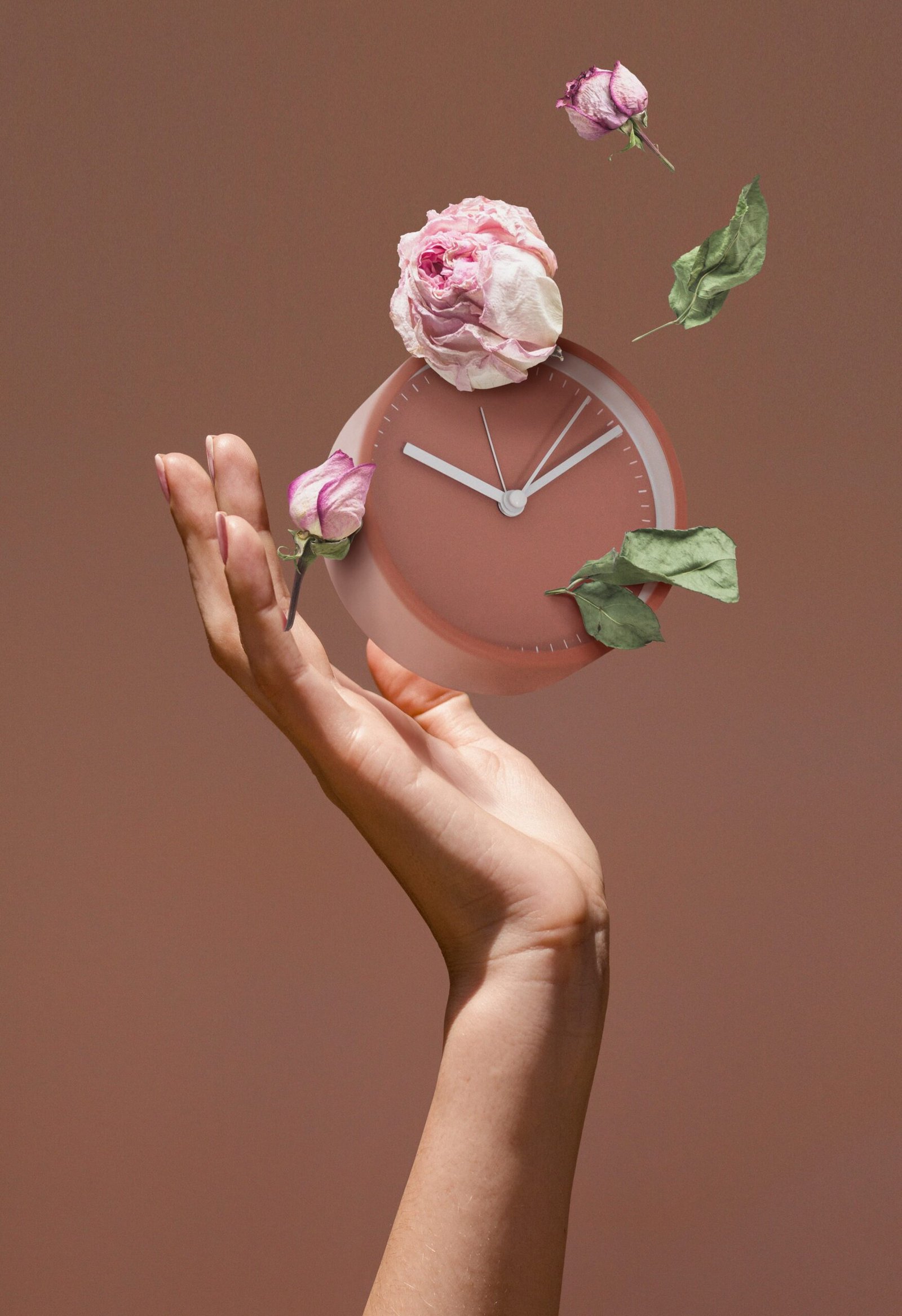 Read more about the article Janela de Implantação: Como Aproveitar o Melhor Momento para Engravidar