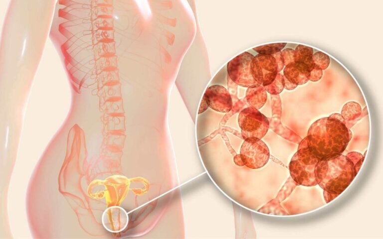 Fertilidade | Ovulação | Gravidez | Loja da Fertilidade