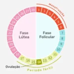 Fertilidade | Ovulação | Gravidez | Loja da Fertilidade