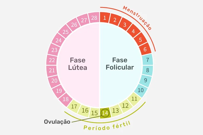 Fertilidade | Ovulação | Gravidez | Loja da Fertilidade