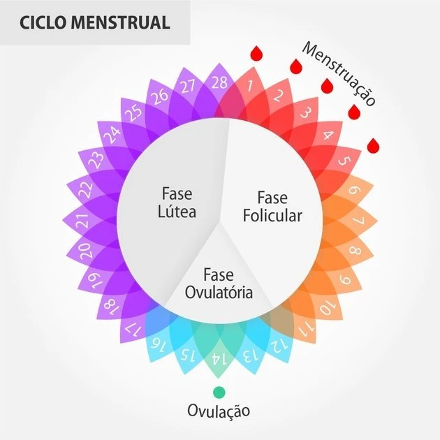 Fertilidade | Ovulação | Gravidez | Loja da Fertilidade Periodo Fertil para Engravidar