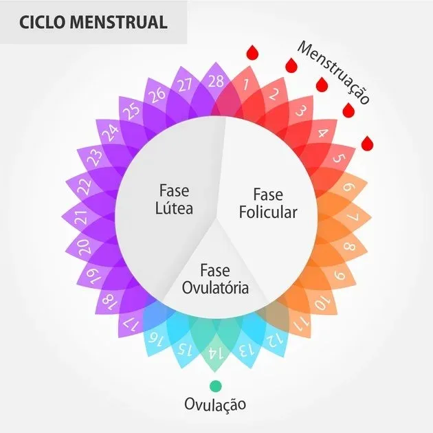 Fertilidade | Ovulação | Gravidez | Loja da Fertilidade Periodo Fertil para Engravidar