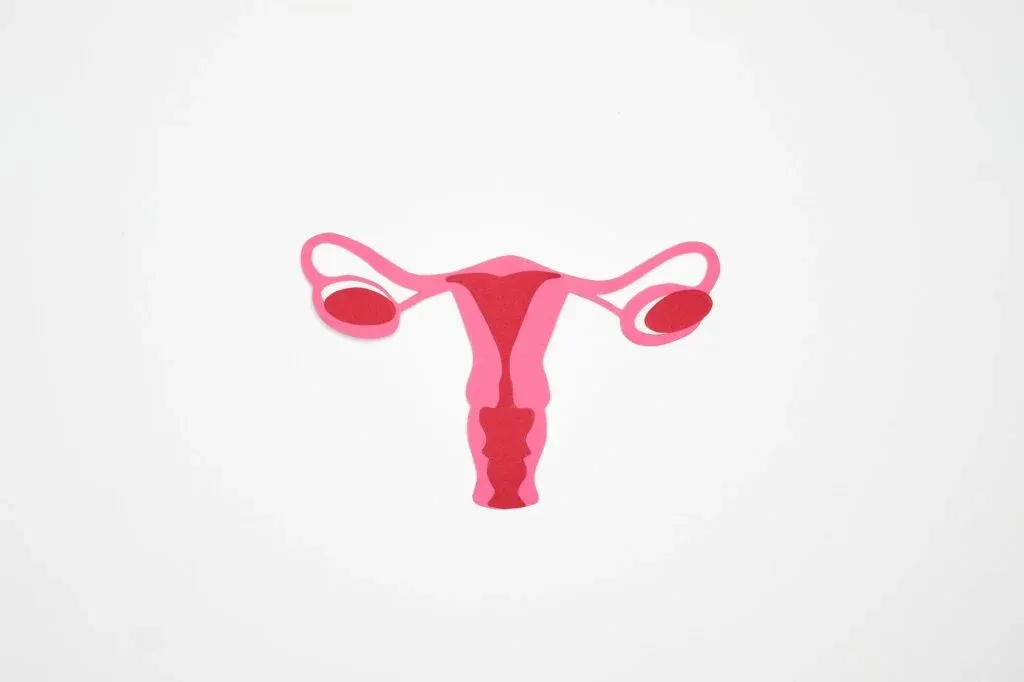 Fertilidade | Ovulação | Gravidez | Loja da Fertilidade graphic art of a woman s ovary