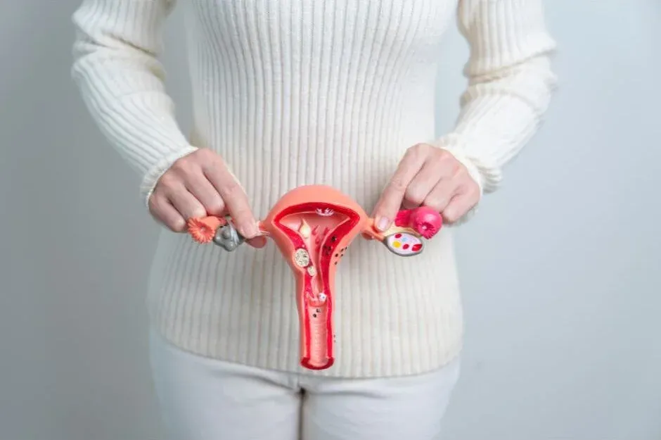 Muco Cervical Ausente no Período Fértil