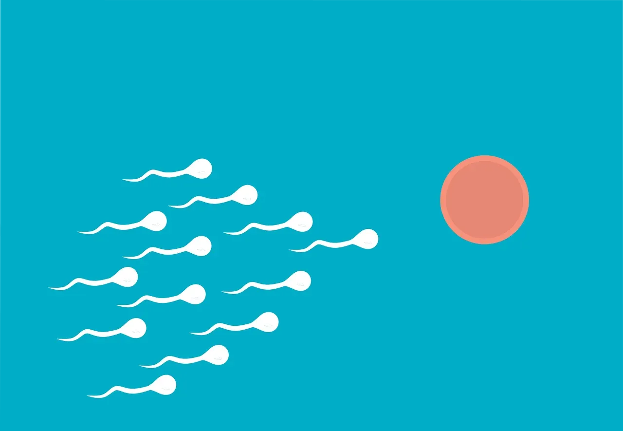 Read more about the article Hábitos que Podem Prejudicar a Fertilidade