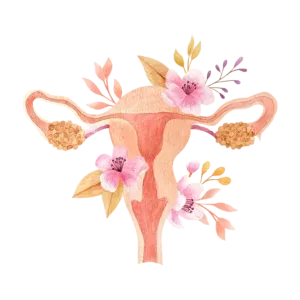 Read more about the article Obstrução das Trompas de Falópio: Como Afeta a Fertilidade e Caminhos para Superar o Desafio
