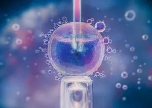 Read more about the article Inteligência Artificial e Fertilidade: Como a Tecnologia Está a Revolucionar o Caminho até à Gravidez